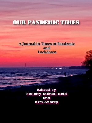 cover image of Our Pandemic Times